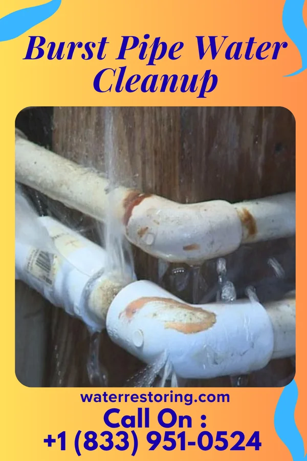 Burst Pipe Water Cleanup in Cumberland, IA