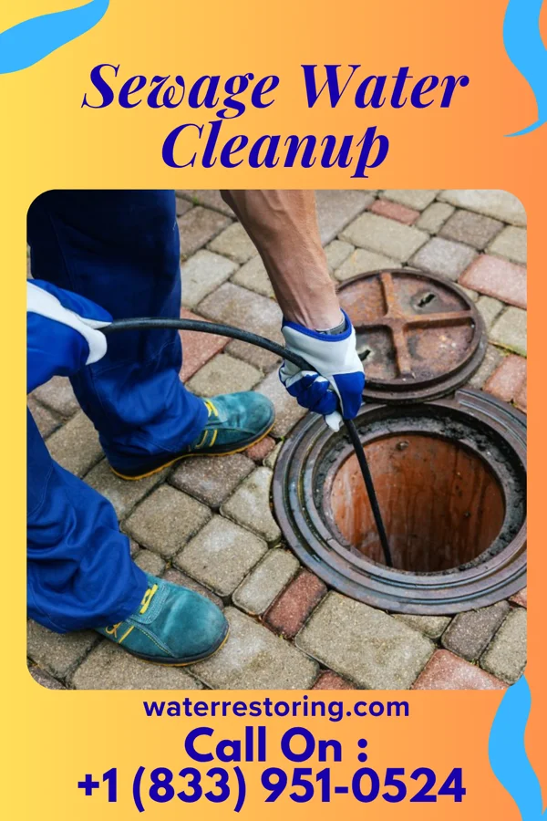 Sewage Water Cleanup in Cumberland, IA