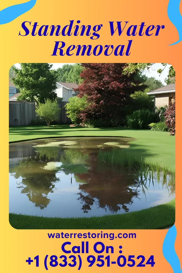 Standing Water Removal in Cumberland, IA